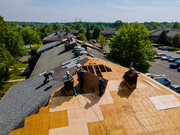 Best Flat Roof Repair Services  in Covington, OH